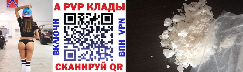 как найти   Курчалой  Альфа ПВП СК КРИС 