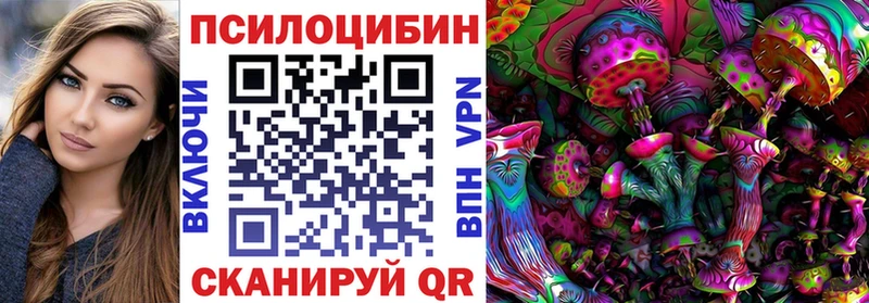 Псилоцибиновые грибы Cubensis  Курчалой 