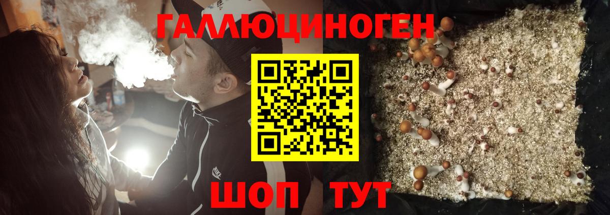Псилоцибиновые грибы прущие грибы Курчалой