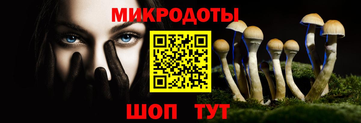 Галлюциногенные грибы Magic Shrooms  Вход с VPN  Курчалой 
